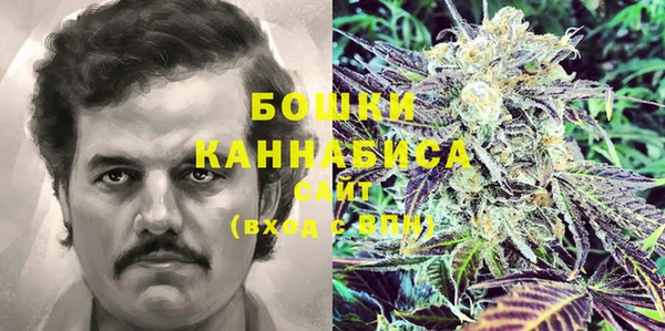 амф Зерноград