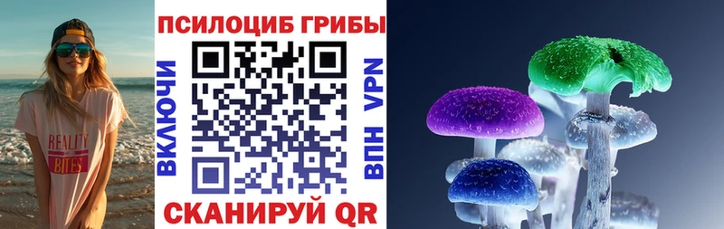 Псилоцибиновые грибы мицелий  Купить  Слободской 